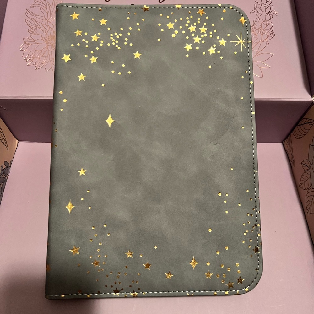 Erin Condren zip folio with big picture planner included.